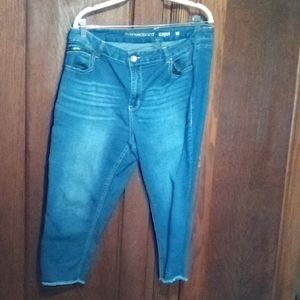 Caprice size 18 (247)